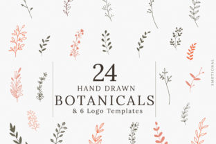 Hand-drawn Botanical Illustrations for Modern Graphics