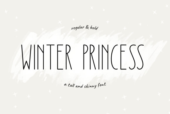 Winter Princess Fonts: A Sans Serif Review for Local Brands